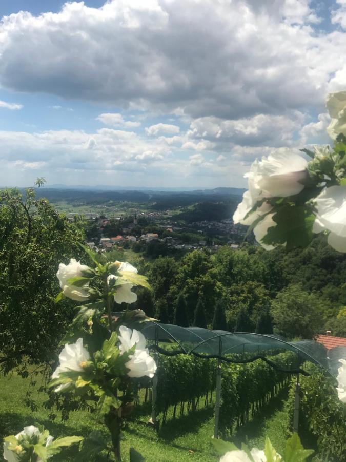 Kuca Za Odmor Magdalena&V Apartment Krapina Exterior foto