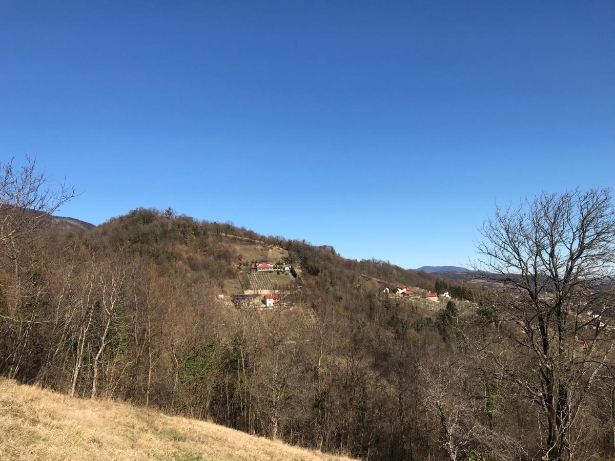 Kuca Za Odmor Magdalena&V Apartment Krapina Exterior foto